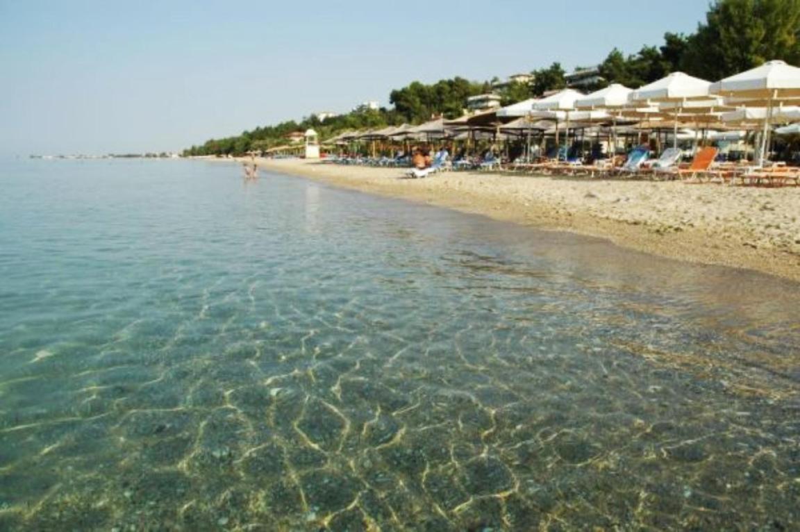 Villa Veneti - Probio - 140M2 Nea Moudania Eksteriør billede